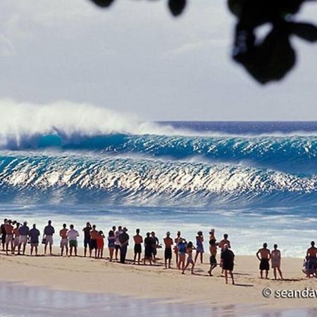 Pristine Location In Turtle Bay Near Beach Villa Kahuku Buitenkant foto