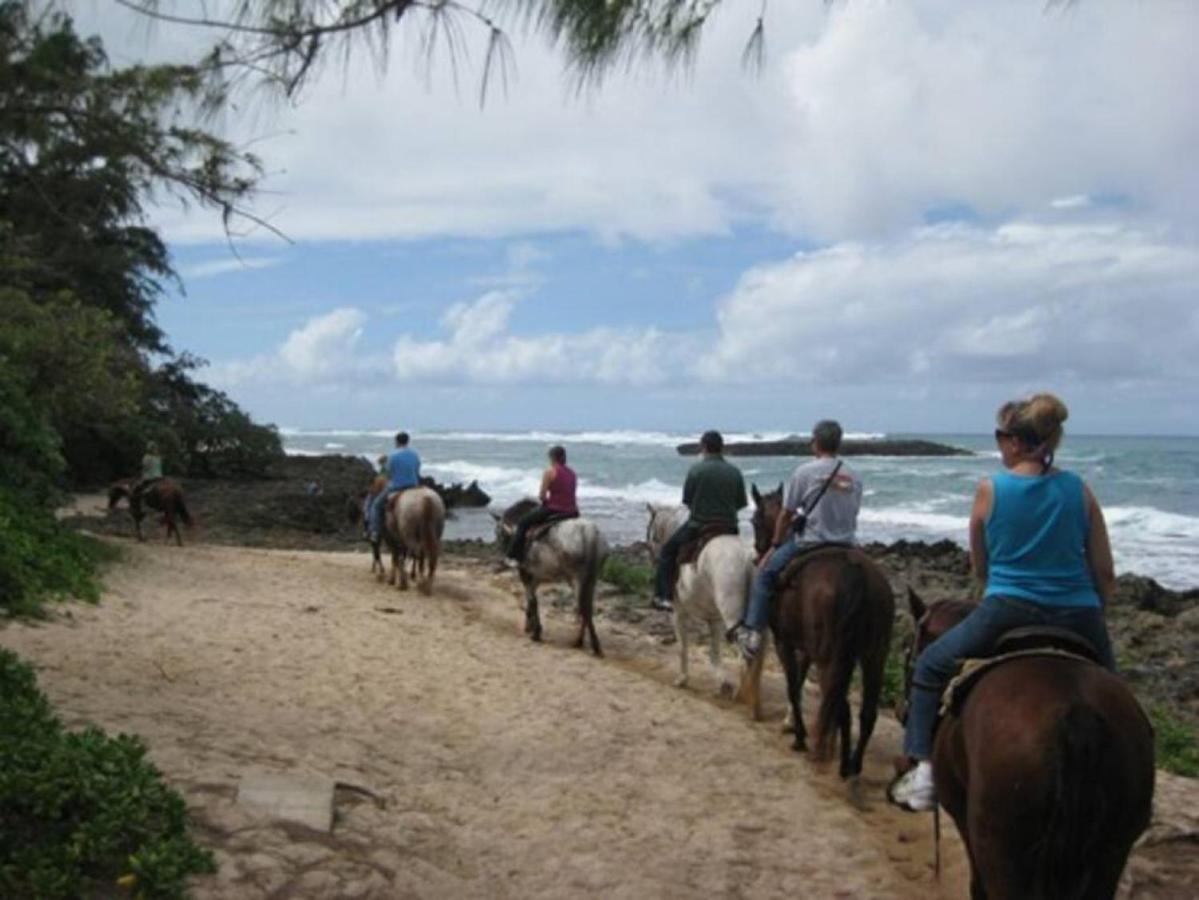 Pristine Location In Turtle Bay Near Beach Villa Kahuku Buitenkant foto