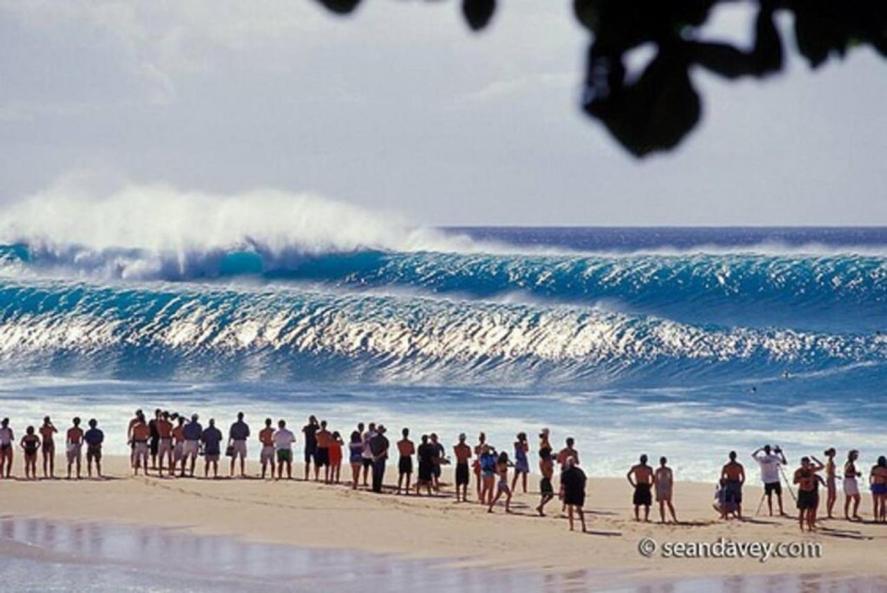 Pristine Location In Turtle Bay Near Beach Villa Kahuku Buitenkant foto